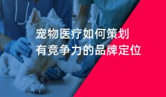 郑州宠物医院品牌策划如何做